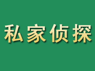 西青市私家正规侦探